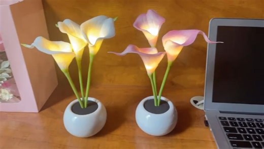 Watch Calla Lily Lamp Table Lamp LED Simulation Calla Lily Night Light on Amazon Live