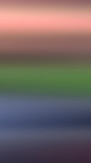 Skydive Alabama on Reels