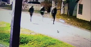 Four people accused of stealing guns from Flint-area pawn shops