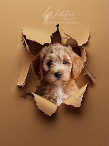 14 Colours Torn Paper Digital Photography Backgrounds: PSD Files (photoshop Required) - Etsy UK