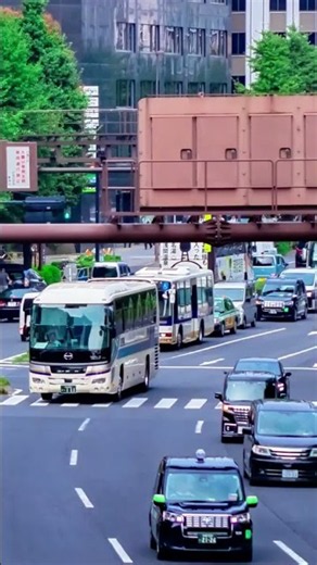 Skip tourist traps! 3 secret Tokyo spots to visit 🇯🇵 #japantravel #tokyotrip #hiddengems