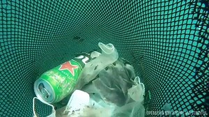 49K views · 1K reactions | PPE POLLUTION: Video shows a diver removing masks and plastic gloves from the bottom of the sea off the coast of France. An environmental group warns that discarded PPE has been polluting the area. DETAILS: https://bit.ly/36BUF9X | FOX 10 Phoenix | Facebook