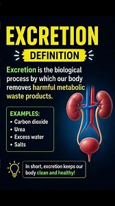 ICSE, CBSE Biology । Biology Excretion #biology #excretory_system #icseboard