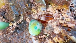 3.1K views · 103 reactions | Uncover Earth's rarest gemstone locations—breathtaking geological wonders shaped over millions of years! | Gold Amazing | Facebook