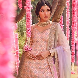 Sharara Suit Designer Collection