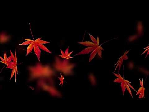 Autumn leaves - Motion Background (Royalty Free - Creative Commons)