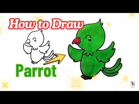 Draw This Cute Parrot Today | No Experience Needed 🦜