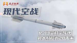 R-73红外制导空对空导弹，弹长2.9米翼展0.51米，最大射程为20千米