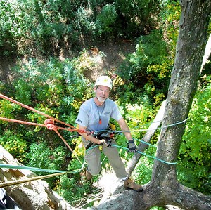 Tree Climbing Event Allows Residents To See City From Another Point of View