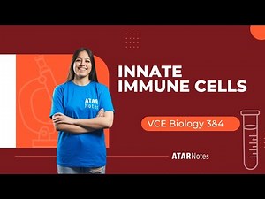 Innate Immune Cells | VCE Biology 3&4