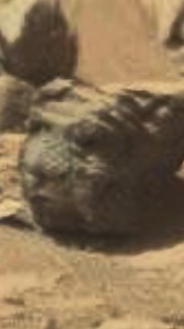 180K views · 1.4K reactions | Ancient alien civilizations hidden on Mars?! #TheUnXplained | The Unxplained Zone | Facebook