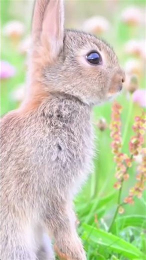 nice tunes short 🎧 video 👍🥰