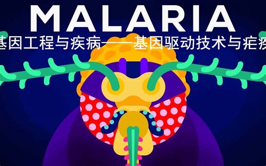 Kurzgesagt科普：基因工程与疾病——基因驱动技术与疟疾（中英字幕）