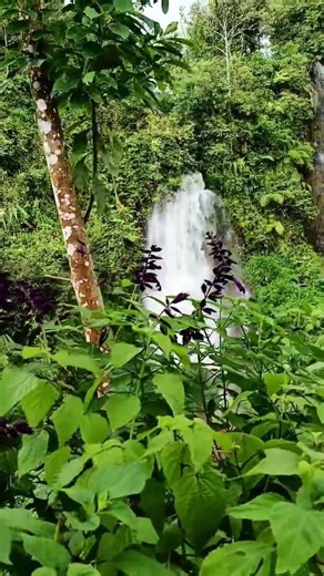 The most beautiful waterfall view - River area through the forest #short #nature #beautiful #river