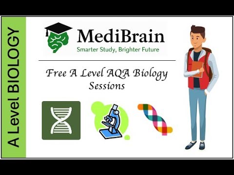 A Level AQA Biology: ATP Exam Practice | Classroom Experience | Complete Lesson