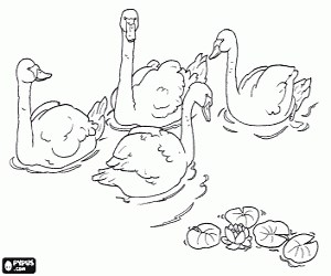 The ugly duckling grows as a swan coloring page printable game