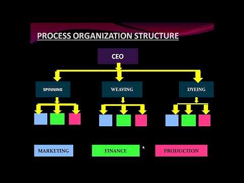 TYPES OF ORGANIZATIONAL STRUCTURE 2 - FUNCTIONAL AND DIVISIONAL ORGANIZATION STRUCTURE