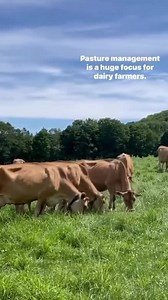2.8K views · 27 reactions | Pasture management is the foundation of...