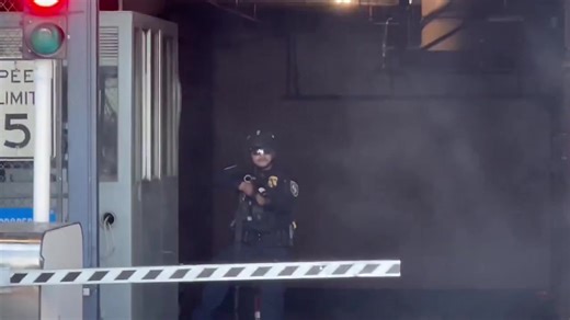 1.6M views · 38K reactions | BREAKING: Democrats are storming the LA criminal alien detention center. DHS is using tear gas to hold them off. | Terrence K Williams | Facebook