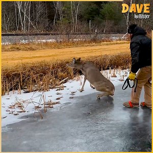 A chilly rescue tale! | Dave Hollister