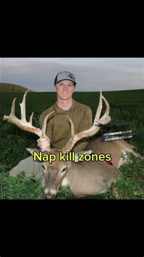 Types entry wounds from different broadheads