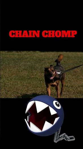 chain chomp #nintendo #supermario #gaming #savageconstructs