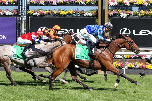 Middle Earth horse - 2025 Melbourne Cup Odds, Barrier, Form and Betting