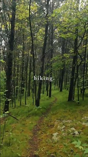This Is Why I Keep Coming Back | Buckeye Trail | Ohio #hiking #outdoors