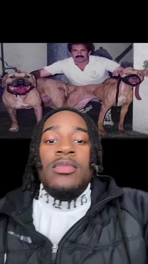 Understanding Dog Breeding: Making a Tie Process Explained