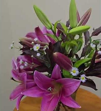 Watch these gorgeous pink lilies bloom! 🌸✨✨ #flowers #bouquetsbysandy