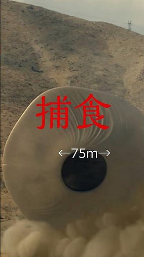 【映画解説】NOPEの謎過ぎる生命体『Gジャン』 #ホラー映画 #sf映画 #nope #gジャン #映画解説 #shorts