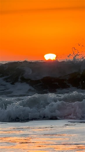 MYRTLE BEACH GRAND STRAND LIFE on Instagram: "Good Morning!! It’s coffee time!! ☕️ We had some fog early this morning but it cleared just before daybreak. Here is today’s sunrise from 64th Ave N in Myrtle Beach 🌅 Air Temp ~ 44 Water Temp ~ 52 Next High Tide ~ 8:07 am Next Low Tide ~ 2:29 pm Wishing each of you a wonderful Sunday Funday! Peace and love to you all! Let’s Beach! 🐚⛱️👣🌊🌴🎣 #myrtlebeach #sunrise #ocean #beach #beachlife goodvibes beachvibes vacation eastcoast peace happy weekend 