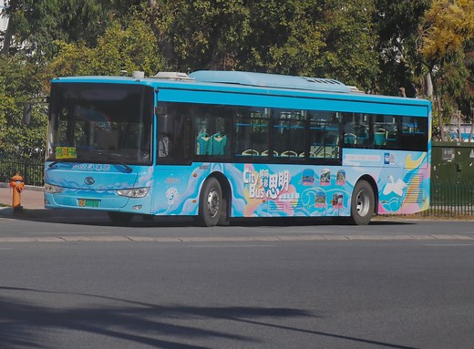 厦门公交29路软件园→第一码头 思明文旅CityBus 解码多彩思明 浪漫环岛线