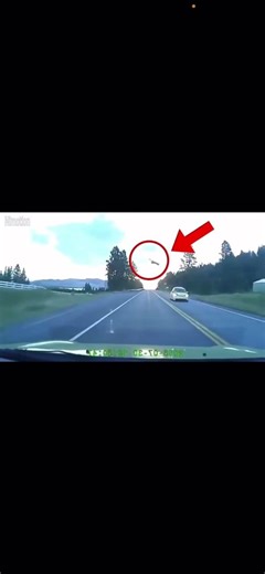 Flying deer #Wildlife #Animals #Anime #Edits #Naruto #OnePiece #DragonBall #OnePunchMan #Bleach