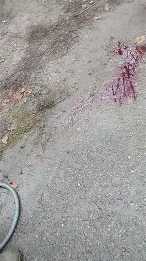 I loved his Vermont accent