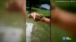 Video: Teens burn helpless turtle, stomping it to death