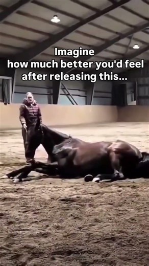 Horse fart goes viral… but here’s why it matters