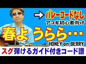 春よ うらら・・・ ギター かんたん 弾き方 (初心者向け コード 簡単) / HONEY on BERRY