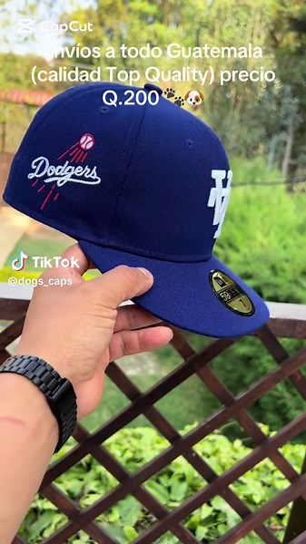 Vídeo de Dog Caps (@dogs_caps) relacionado con «Dog Sweaters»