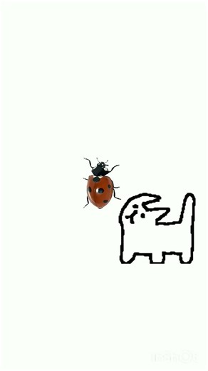 #memes #funny #animation #cute #cat #flipnote #tutorial #roblox #caminhoparaumavidamelhor #aicover