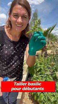 Beginner's Guide to Pruning Basil