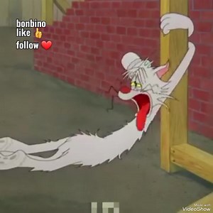 29K views · 611 reactions | Cartoon aflam cartoon افلام كرتون (قيل) | bonbino | Facebook