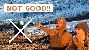 ❄️ WINTER RANCH CHORES | Heating Up the Tractor, Fixing Frozen Waterers, and Feeding Our Dexter Cattle Herd Brrrr, it's another chilly day on the homestead, but that's never enough to stop us from tackling our essential cattle care duties! Join us as we start by warming up the tractor, getting ready to haul fresh hay out to our hungry Dexter herd. As first-generation ranchers, we're quickly learning that small-scale farming in the winter requires constant problem-solving, from dealing with froze