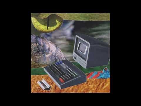 William Nein - 411 Clarence (2021)