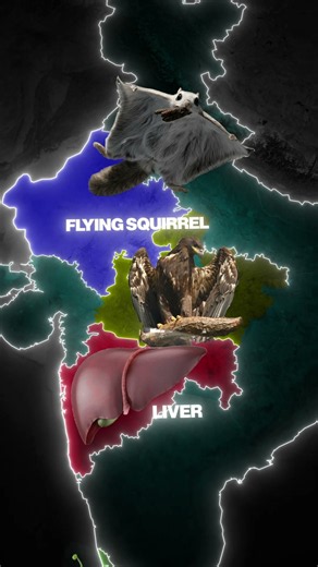 What Do Indian States Really Look Like? 🤯 Funny State Shapes Explained