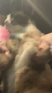 Why is my camera so blurry