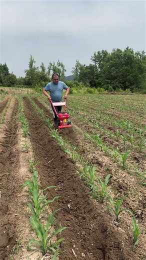 Incredible Farmers Showcase Innovative Agriculture Techniques