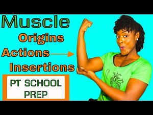 PT School Prep | How To Prepare For Physical Therapy School A & P Course