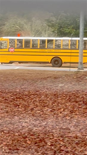 Bus 12-361 2012 Thomas c2