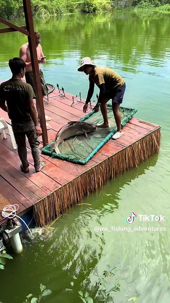 Catfish Angling Adventures in Thailand's Lakes